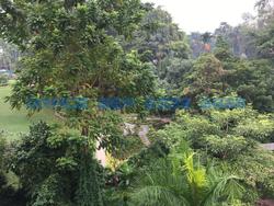 Gardenville (D10), Condominium #85180362